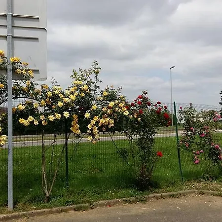 N&z * Trappes